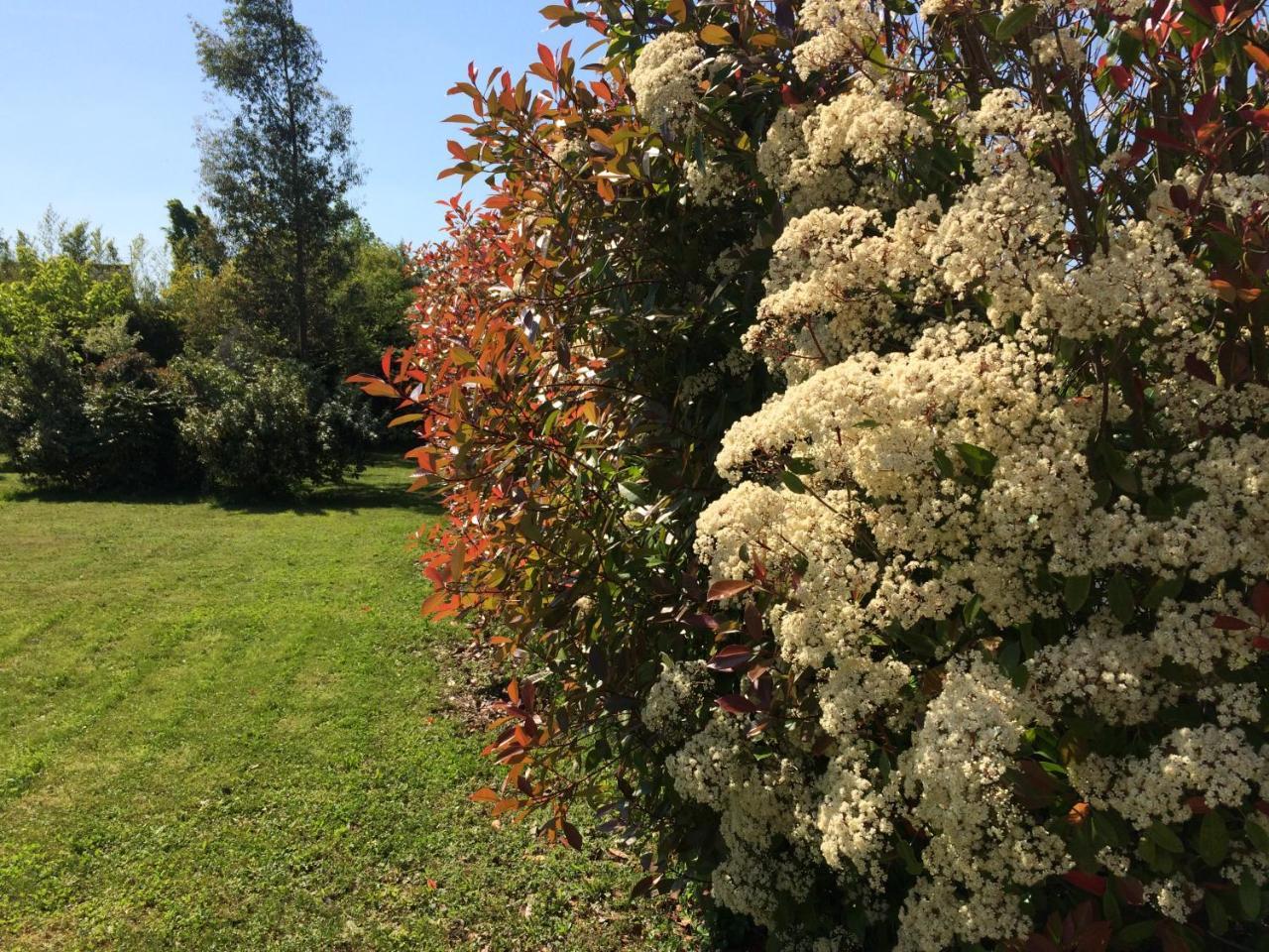 La Villa Bolero Saint-Cyr-sur-Loire Esterno foto